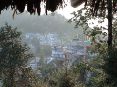 Pelling373