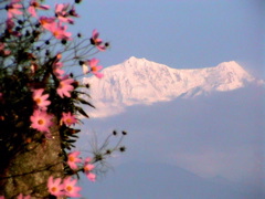 HimalayasMorning2